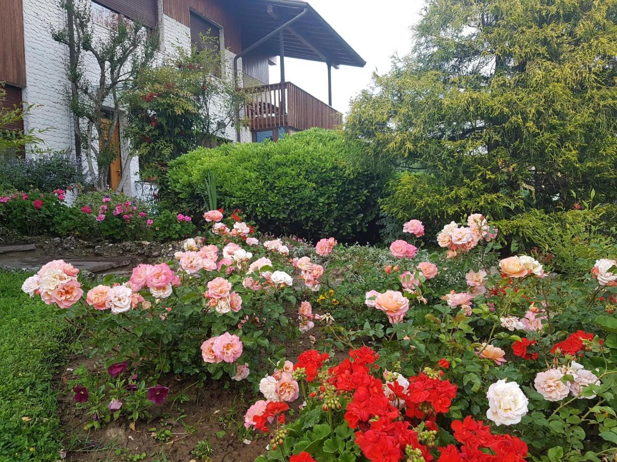 B&B Fontanella Curno Eksteriør billede
